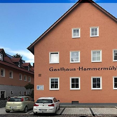 Landgasthof-Hotel Hammermuehle Donaustauf Kültér fotó